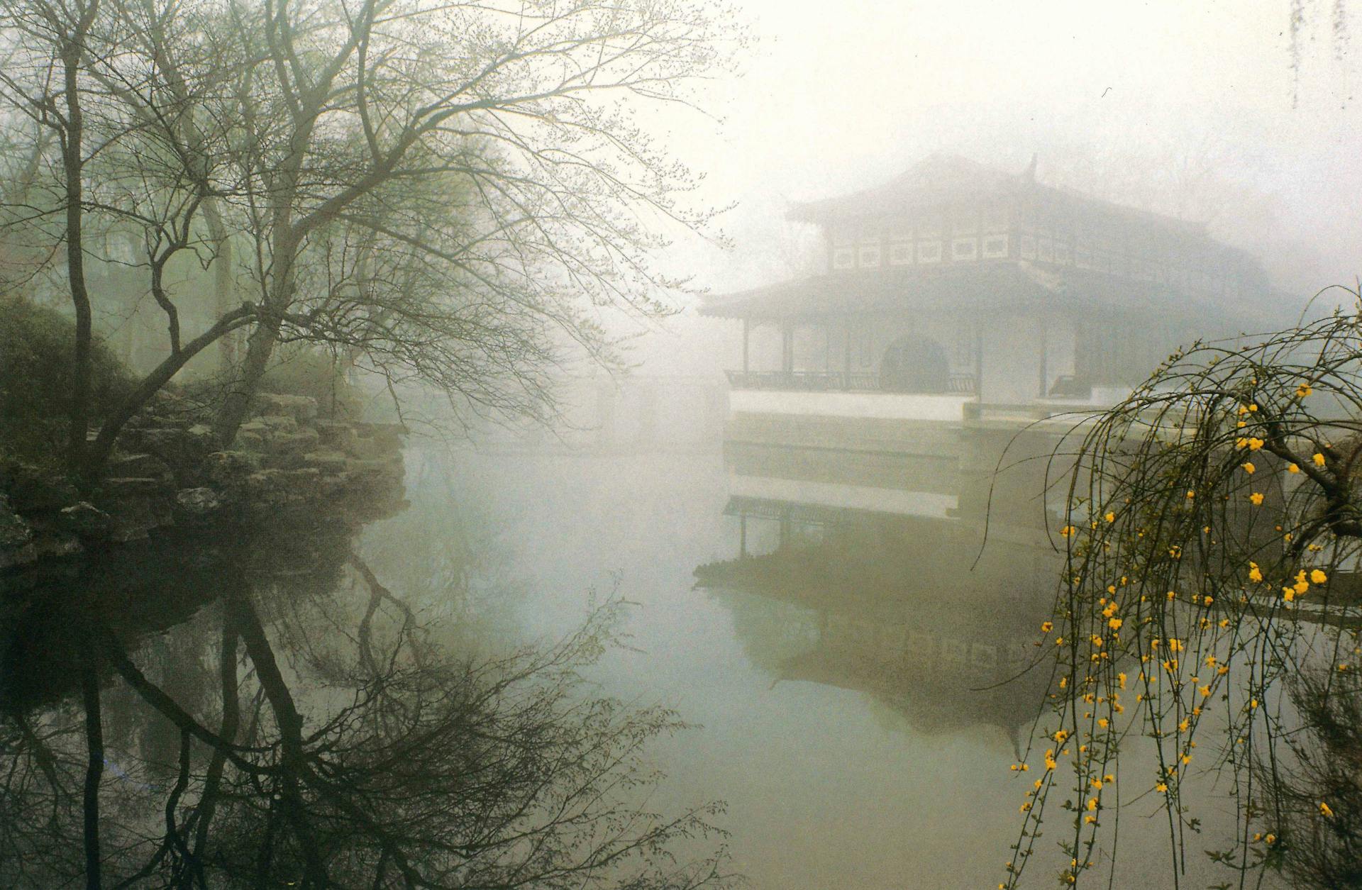 Jardín chino en la niebla — la visión a largo plazo